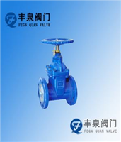 暗桿軟密封閘閥